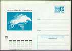 Bel Entier Postal Russe Sur L´équitation (2) - Reitsport