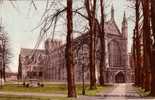 Carte Postale De Grande Bretagne : WINCHESTER CATHEDRAL - Winchester