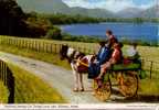 Carte Postale : TRADITIONAL JAUNTING CAR TOURING LOWER LAKE, KILLARNEY, IRELAND ( Voiture à Cheval ) - Kerry