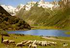 CARTE POSTALE DU COL D'AUBISQUE, Le Lac D'Estaing - Argeles Gazost