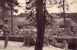 PARC ZOOLOGIQUE DE VINCENNES - Travail Des Lions Sur Leur Plateau - Leones