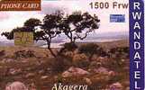 RWANDA PAYSAGE CARTE A PUCE 1500F RARE - Rwanda