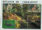 Bonjour De Cherapont (g199) - Gouvy