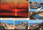 Souvenir De Senigallia - Senigallia