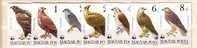 HUNGARY  WWF- EAGLES   7 V.-MNH - Sonstige & Ohne Zuordnung