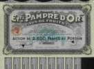 RARE : ETS. PAMPRE D\´OR # JUS DE FRUITS # ( BORDEAUX ) - Eau