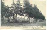 Leopolsburg, Camp De Beverloo , 1919, Ocb Nr 53 , Stempel Bourg-leopold - Leopoldsburg (Beverloo Camp)