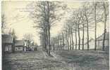 Leopolsburg, Camp De Beverloo , 1919, Ocb Nr 53 , Stempel Bourg-leopold - Leopoldsburg (Camp De Beverloo)