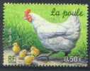 #2345 - France/Poule Et Poussins Obl - Gallinaceans & Pheasants