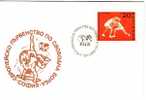 BULGARIA / Bulgarie  1969  WRESTLING - FILA   FDC - Lucha