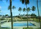 KOUROU - Piscine De L'Hôtel Des Roches - Andere & Zonder Classificatie