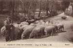 Cpa Animée Berger Des Pyrénées 1 LL - Personnages