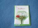 Carte Coccinelle Butinante - Bon Anniversaire - Fond Blanc - Neuve - Enveloppe Verte Comprise - Ref 7872 - Insects