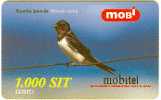 Slovenia - GSM - Bird - Hirundo Rustica - Other & Unclassified