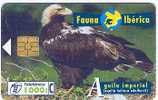 Spain - Fauna Ibérica - Bird - Aguila Imperial - Otros & Sin Clasificación