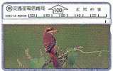 Taiwan - Bird - Andere & Zonder Classificatie