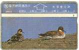 Taiwan - Bird - Autres & Non Classés