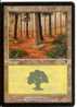 Foret(1993-2001) Terrain - Altri & Non Classificati