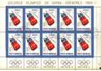 ROMANIA ROUMANIE 1967 J. .O. DE GRENOBLE BOB 0,55 B BF DE 10 TIMBRES YT 2331 (°) - Invierno 1968: Grenoble