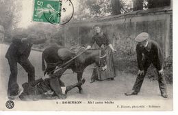 ROBINSON, Femme Tombant  D'un âne - Le Plessis Robinson