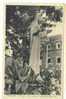 Beauraing , La Vierge ,   Oude Postkaart (d5-39) - Beauraing
