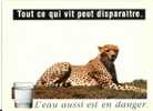 Tout Ce Qui Vit Peut Disparaitre . L´eau Aussi Est En Danger . Guepard (06-4116) - Leeuwen