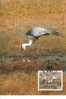 WM0866 Grue Bugeranus Carunculatus Malawi 1987 Fdc Maximum WWF - Cranes And Other Gruiformes