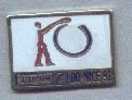 PIN'S FRANCE TELECOM DIRECTION OPERATIONNELLE NICE 92 (5515) - Amministrazioni