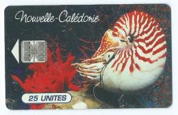 Telecarte Nouvelle Caledonie Nautile De L'aquarium NC 38A - Nieuw-Caledonië