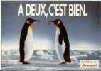 A Deux, C´est Bien! Carte Publicitaire Brandt, Pingouin, Photo Christian Kettiger (07-525) - Tigri