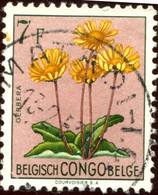 Pays : 131,1 (Congo Belge)  Yvert Et Tellier  N° :  318 (o) - Usados