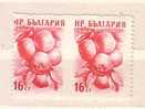 BULGARIA / Bulgarie   1957  Fruits -ERROR   Pair Middle  Imperforated-MNH - Abarten Und Kuriositäten