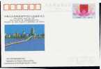 China PRC JP36 Basic Law Of Macao SAR POSTAGE CARD, 1993 - Ansichtskarten