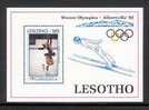 LESOTHO 1992 MNH BlockOlympic Games B92-B93 #1792/93 - Winter 1992: Albertville
