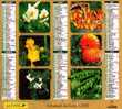 CALENDRIER ALMANACH 2004 - Groot Formaat: 2001-...