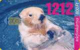 Hungary - 1999-20 - Vidra - Animal - Otter - Ungarn