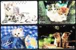 (4) Cats - Japan - Chats