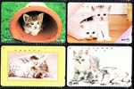 (4) Cats - Japan - Katten