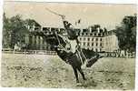 Saumur - Ecole De Cavalerie - Croupage - Horse Show