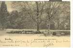 C P Bruxelles Les Moutons Au Bois De La Cambre - Parks, Gärten