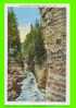 AUSABLE CHASM, NY - COLUMN ROCK - C. W. HUGHES & CO - - Adirondack