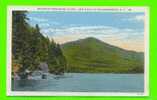 ADIRONDACKS, NY - WHITEFACE FROM MOOSE ISLAND - LAKE PLACID -C.W. HUGHES & CO - - Adirondack