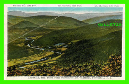 PHOENICIA, NY - CATSKILL MTS. FROM FIRE TOWER ON MT. TREMPER - BALSAM MT. - MT GARFIELD, MT. SHERIDAN - - Catskills