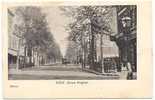 Uccle, Ukkel: Avenue Brugman.  Tram. Nr. 293. - Uccle - Ukkel