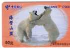 Faune - Faune - Polaire - Bear - Grizzly - Ours - Baer - Oso - Endurer - Nais - Orso - Polar Bears - Selva