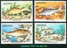 Lesotho (Scott 237-40 - Fishes / Poissons) [**] - Lesotho (1966-...)