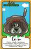 SAN MARINO - Zodiac - Horoscope - Zodiaque - Zodiacs - Zodiaques - Horoscopes - Dog - Chien - RARE & MINT Card - CANE - Zodiaque