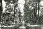 Bon-Secours  Sous-Bois - Péruwelz