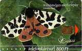 HONGRIE PAPILLON DE NUIT 800FT SUPERBE RARE - Vlinders