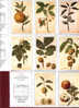 Lot De 8 Calendriers Pub. Pharmacie " Les Fruits " - Sonstige & Ohne Zuordnung